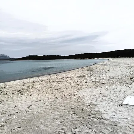 Guest house Sorella Luna Boutique, Centro Di 3*