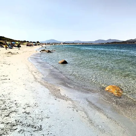 Sorella Luna Boutique, Centro Di