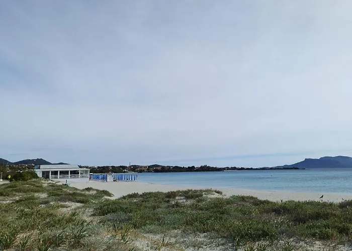 Sorella Luna Boutique, Centro Di