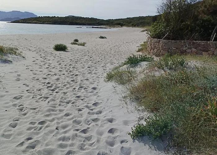 Sorella Luna Boutique, Centro Di