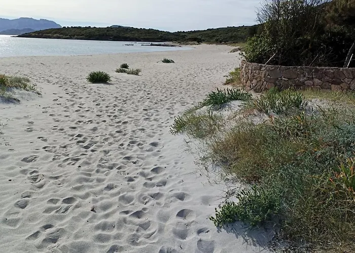 Sorella Luna Boutique, Centro Di 게스트하우스