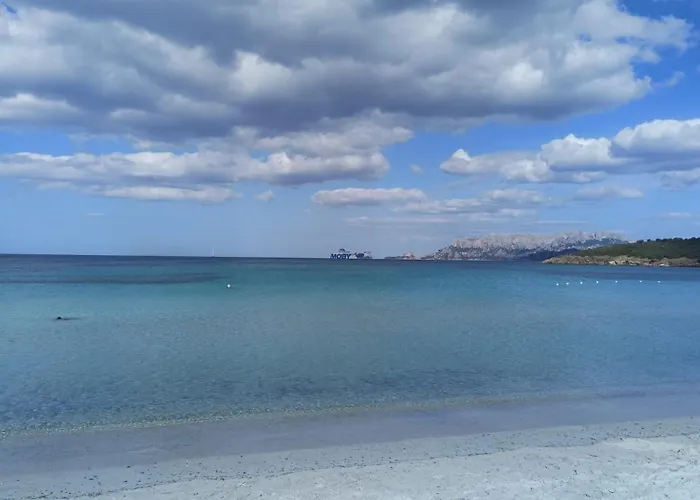 Sorella Luna Boutique, Centro Di 올비아